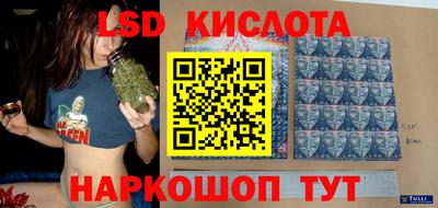 стаф Новокубанск