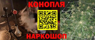 стаф Новокубанск