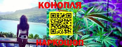 стаф Новокубанск