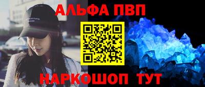 стаф Новокубанск