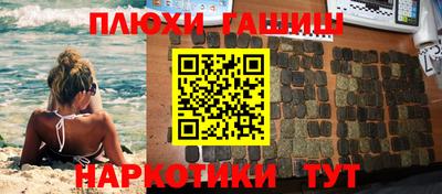 стаф Новокубанск