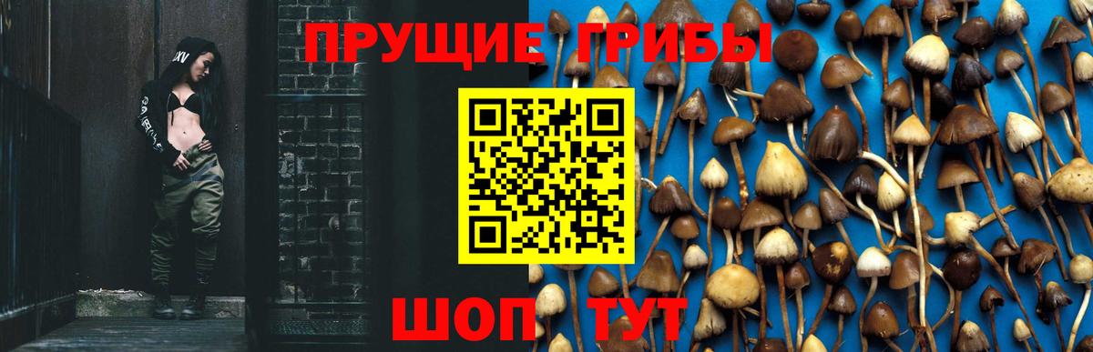 Галлюциногенные грибы MAGIC MUSHROOMS Алапаевск